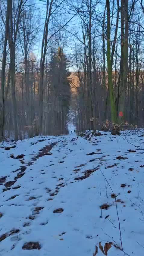@Alex Maschine 88