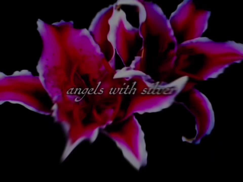 @_stripdepeche