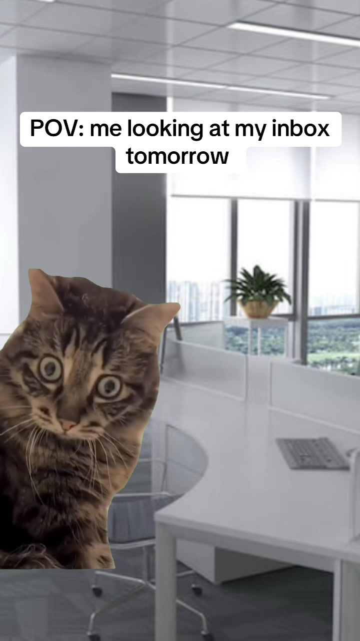 @workmemes