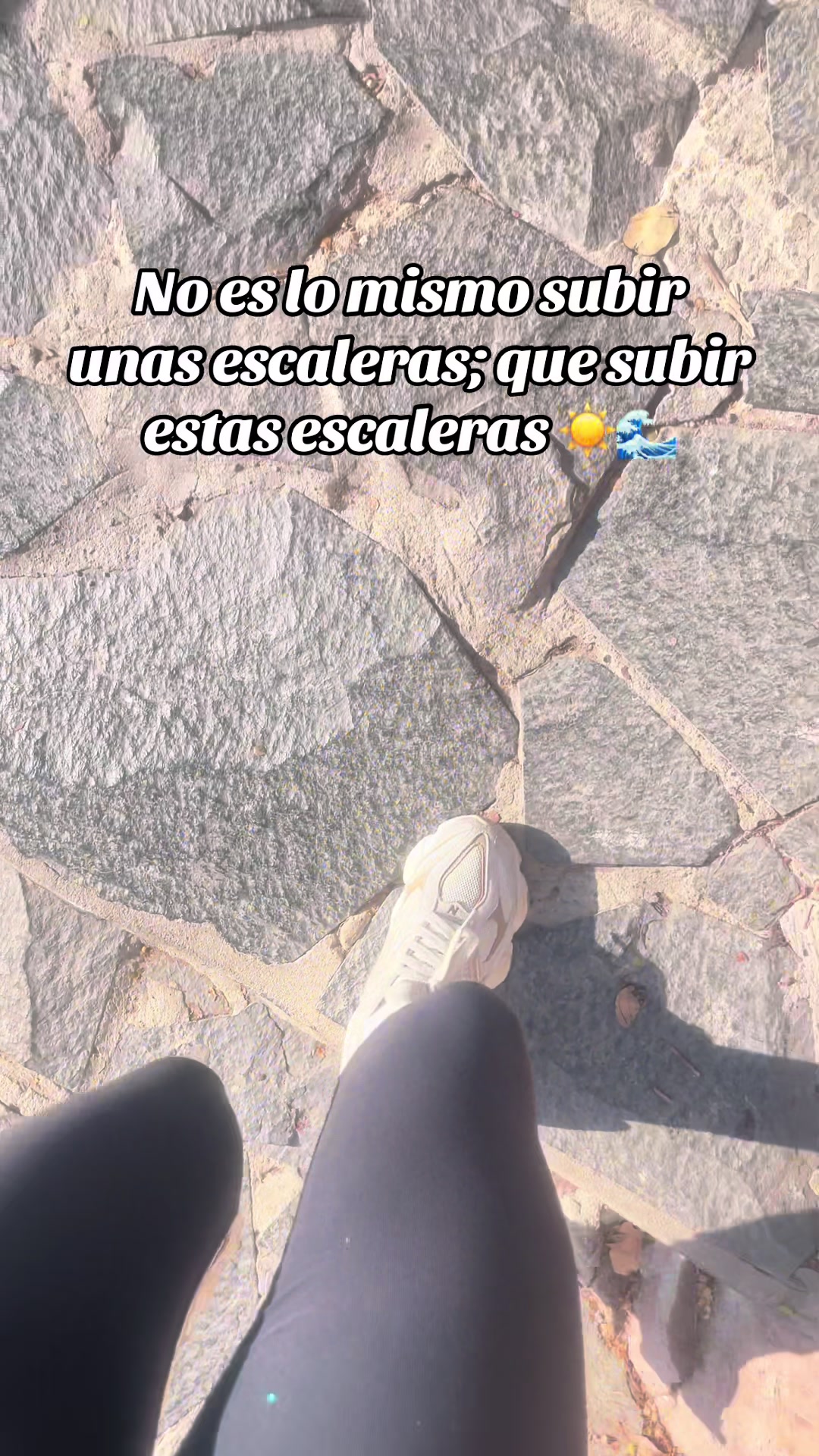@LT_or🍃