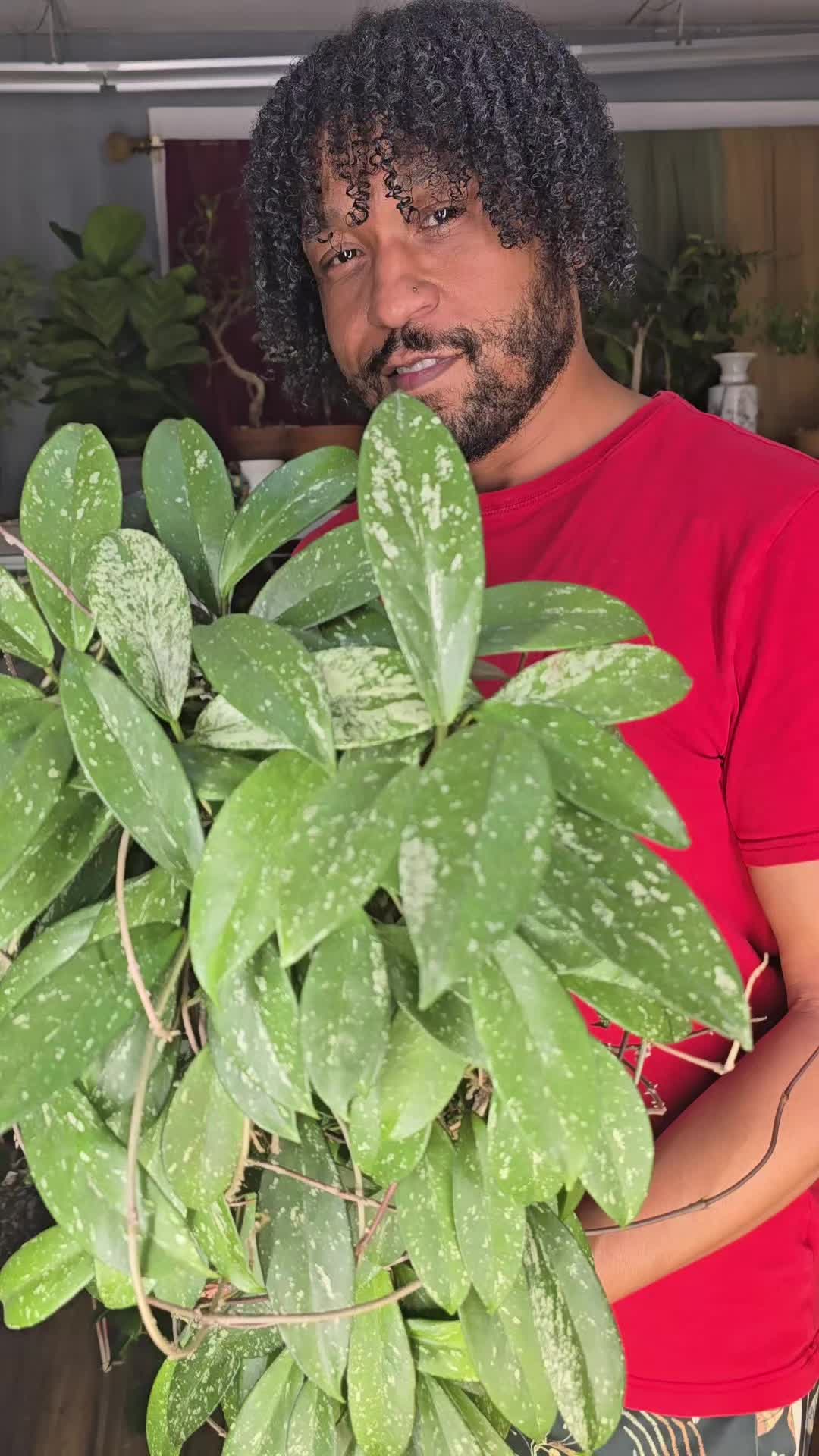 @JT - BigEGOPlants