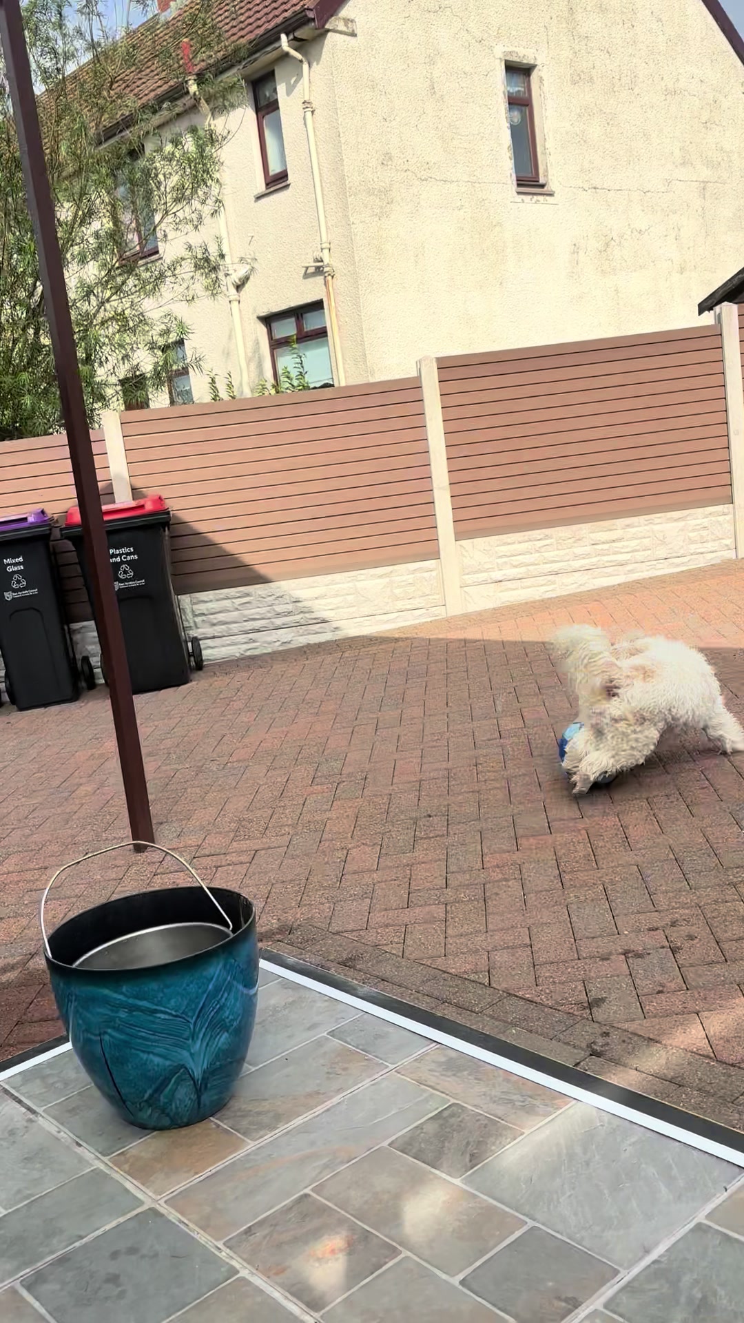 @Pablopoppypiperpoodle