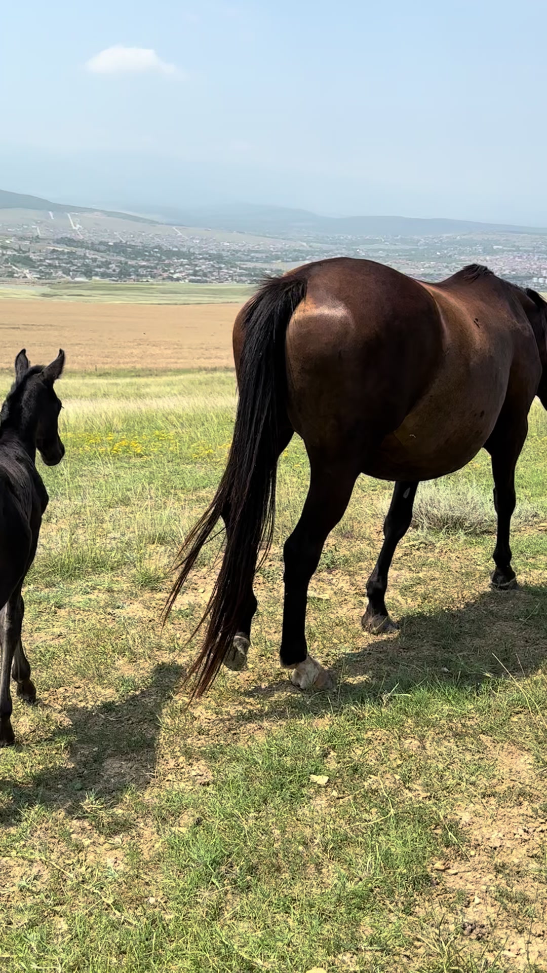 @MakvinStud