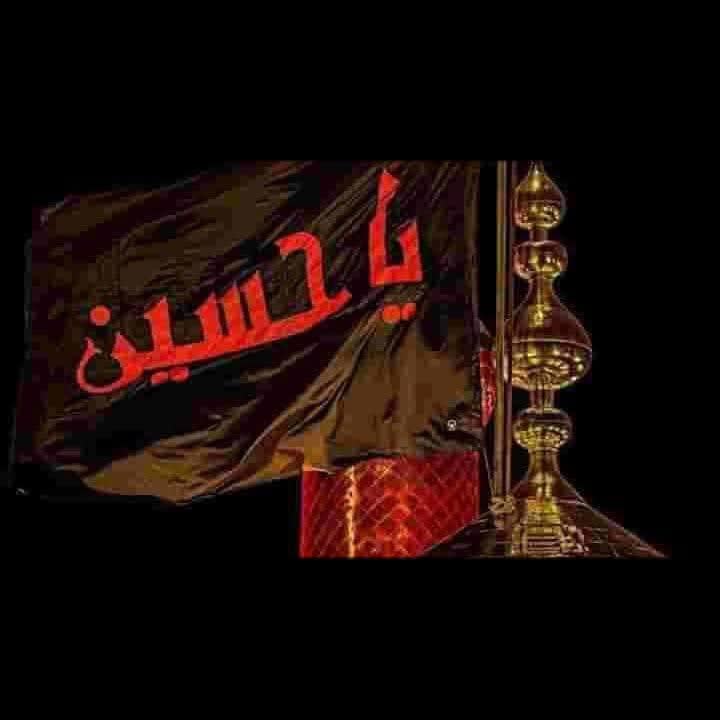 @qalababbas478