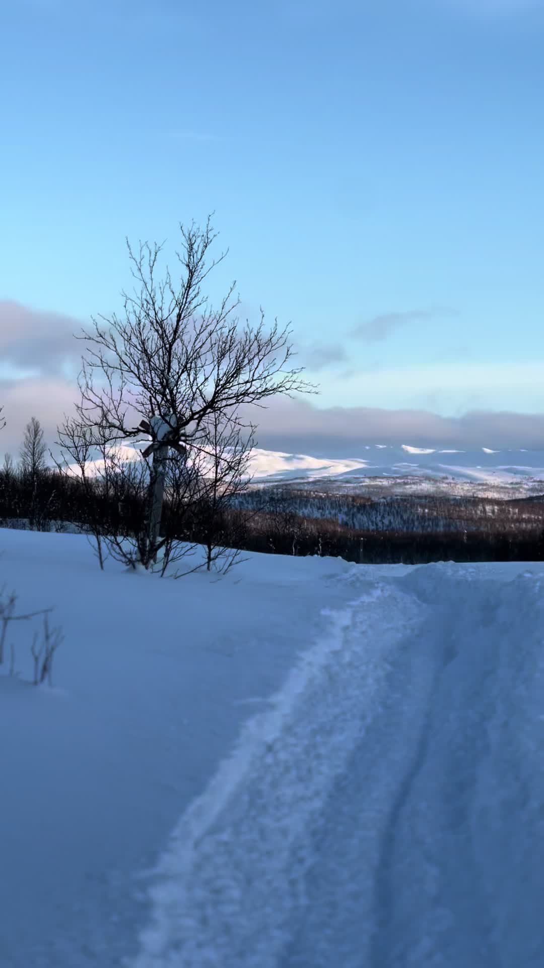 @www.edvard.se