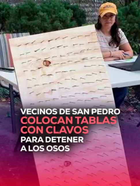 @MVS Noticias Monterrey