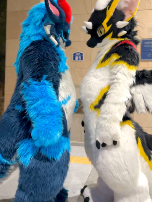 @radywolf