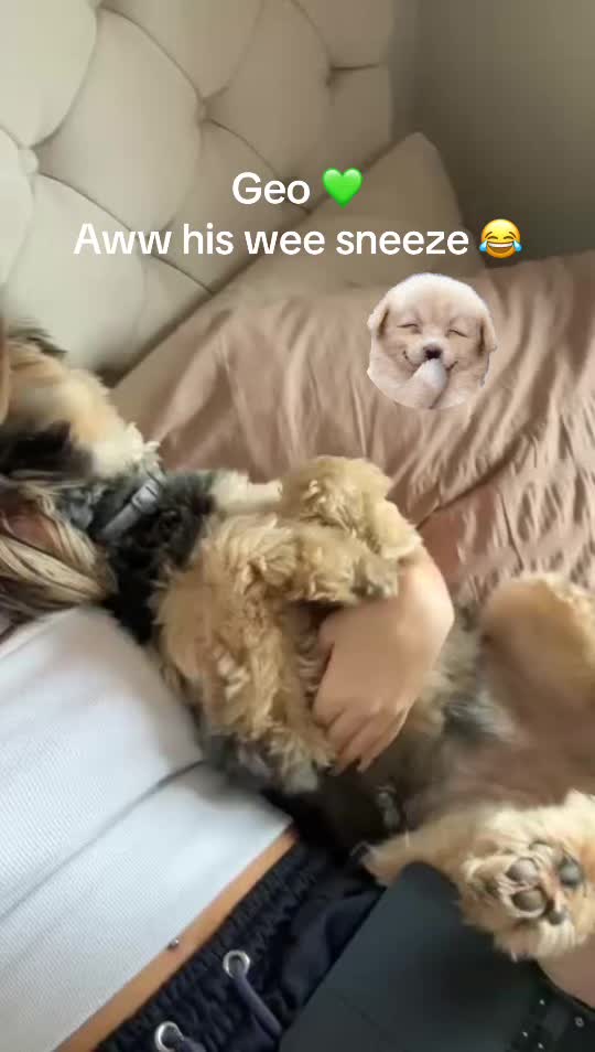 @Линда 🧡( Linda ) 💚