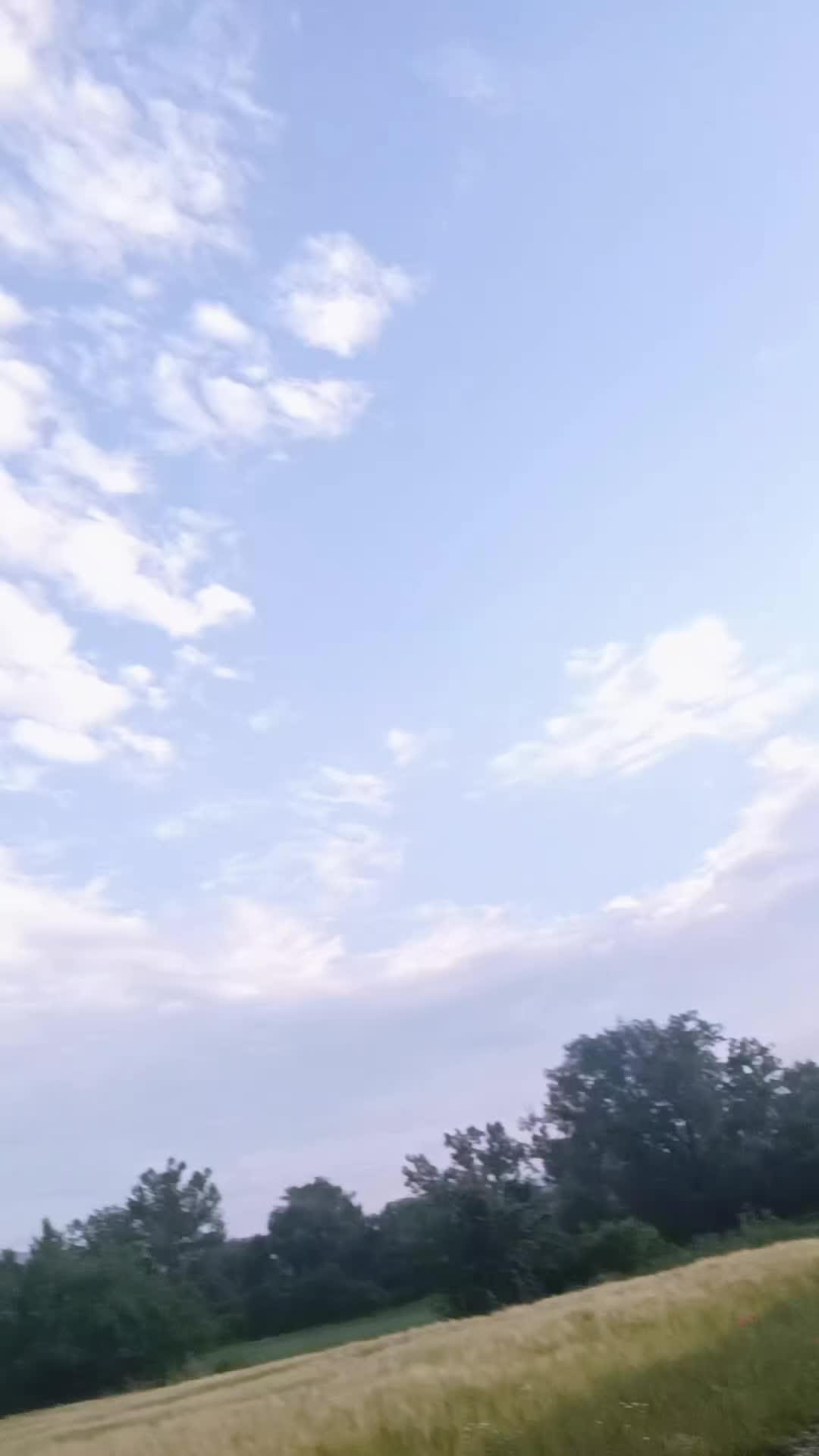 @Ala