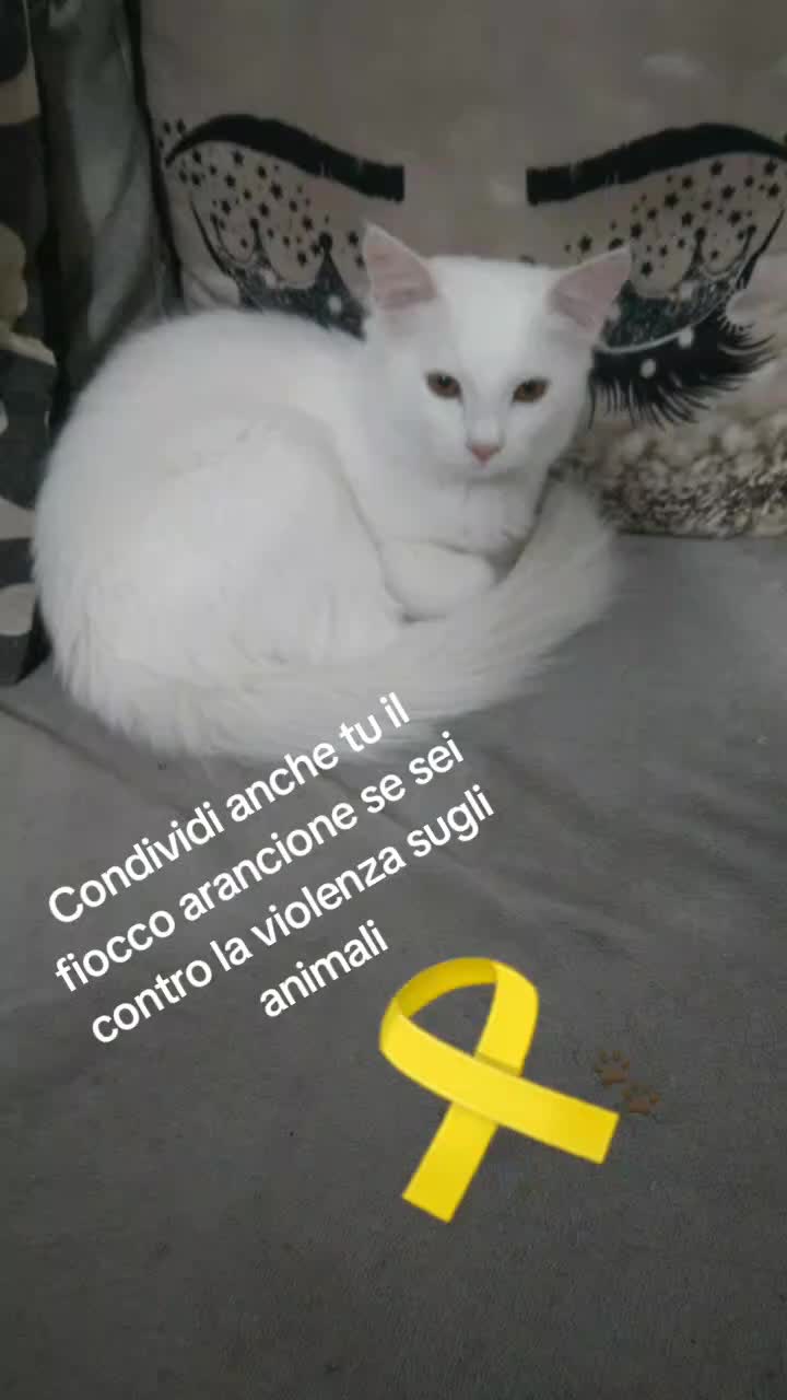 @Carmela Napoletano