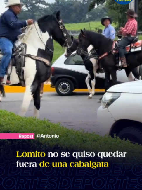 @La-Lista Deportes