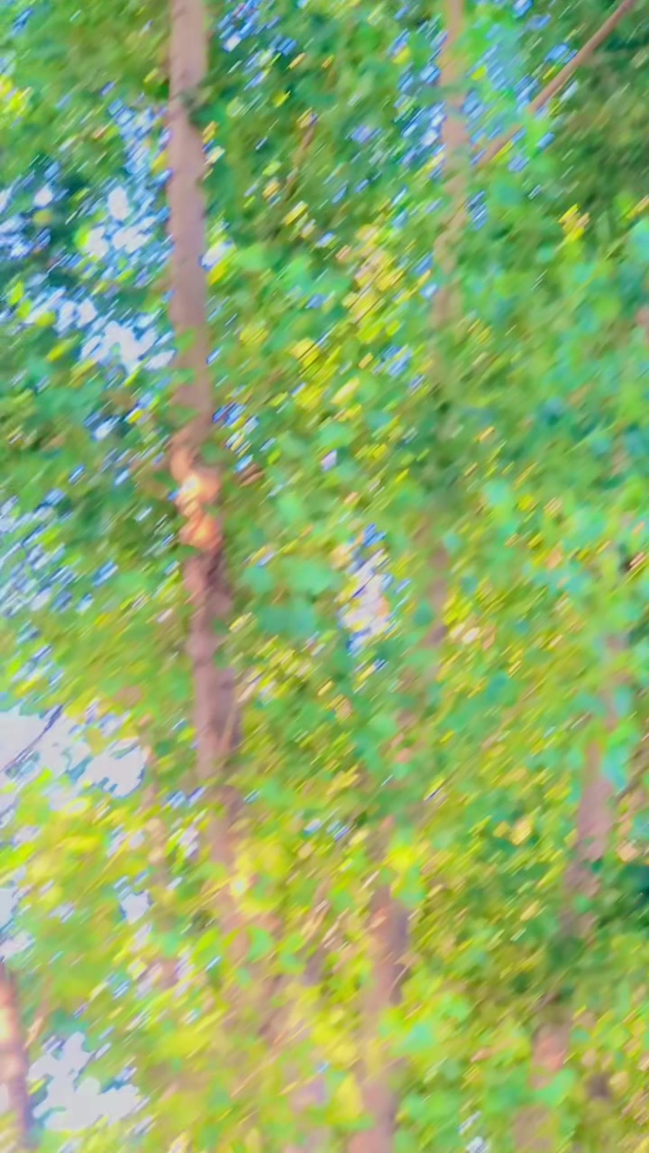 @* 🦅 S&acirc;&Icirc;d  &Aring;&ntilde;W&acirc;ر 🦅*