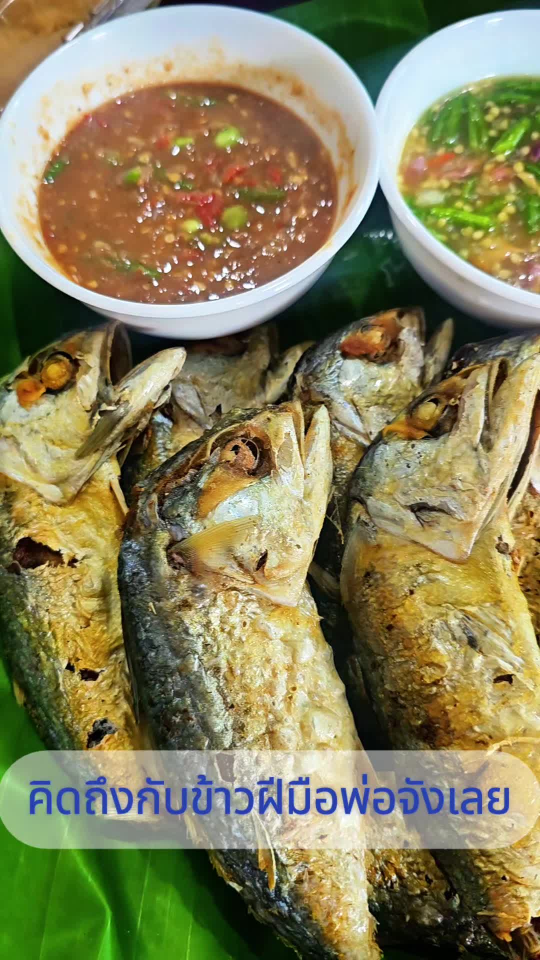@Noi KP