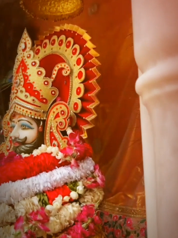 @shree shyam premi🫶🚩🕉️✨