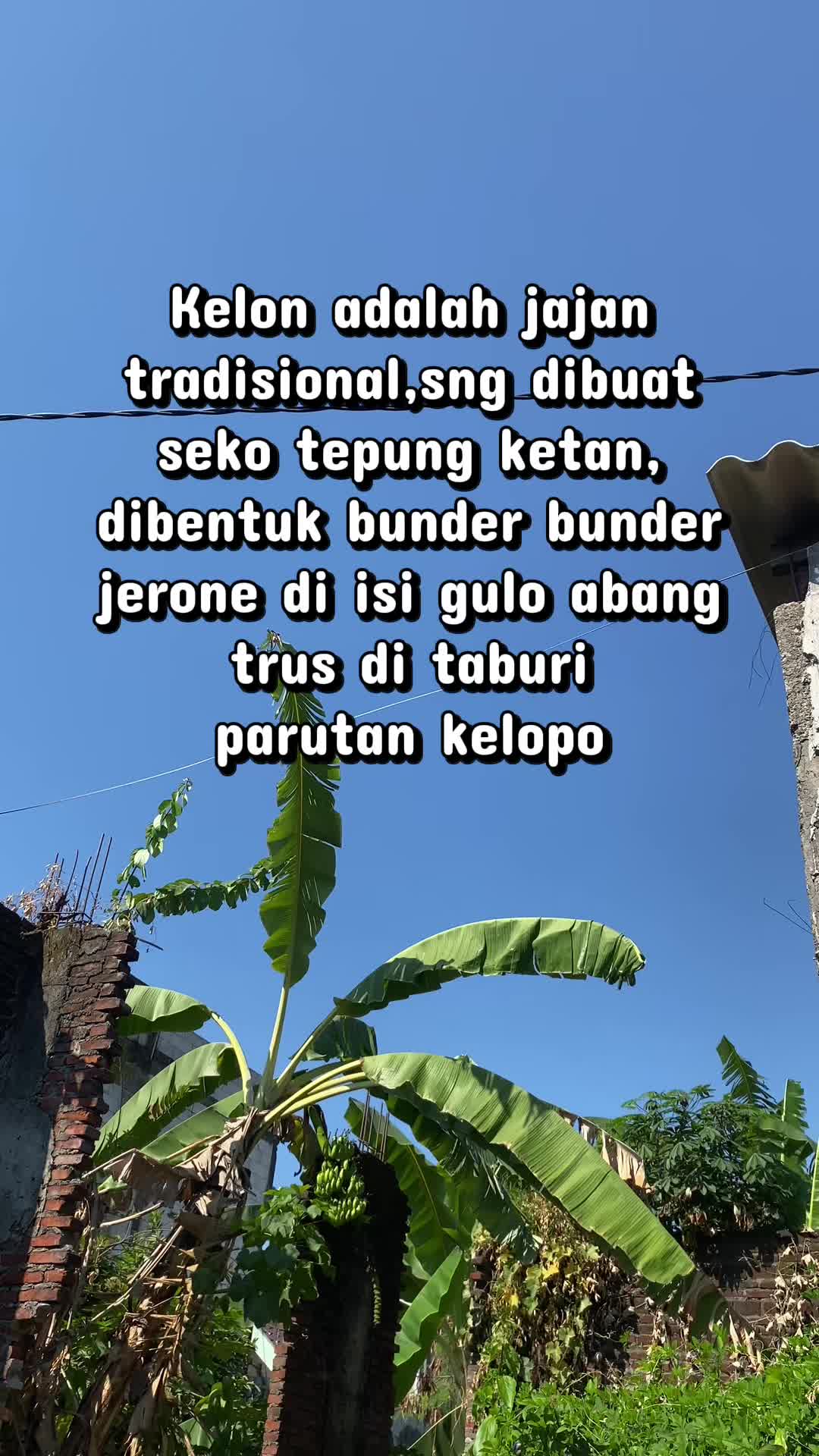 @Tutup panci