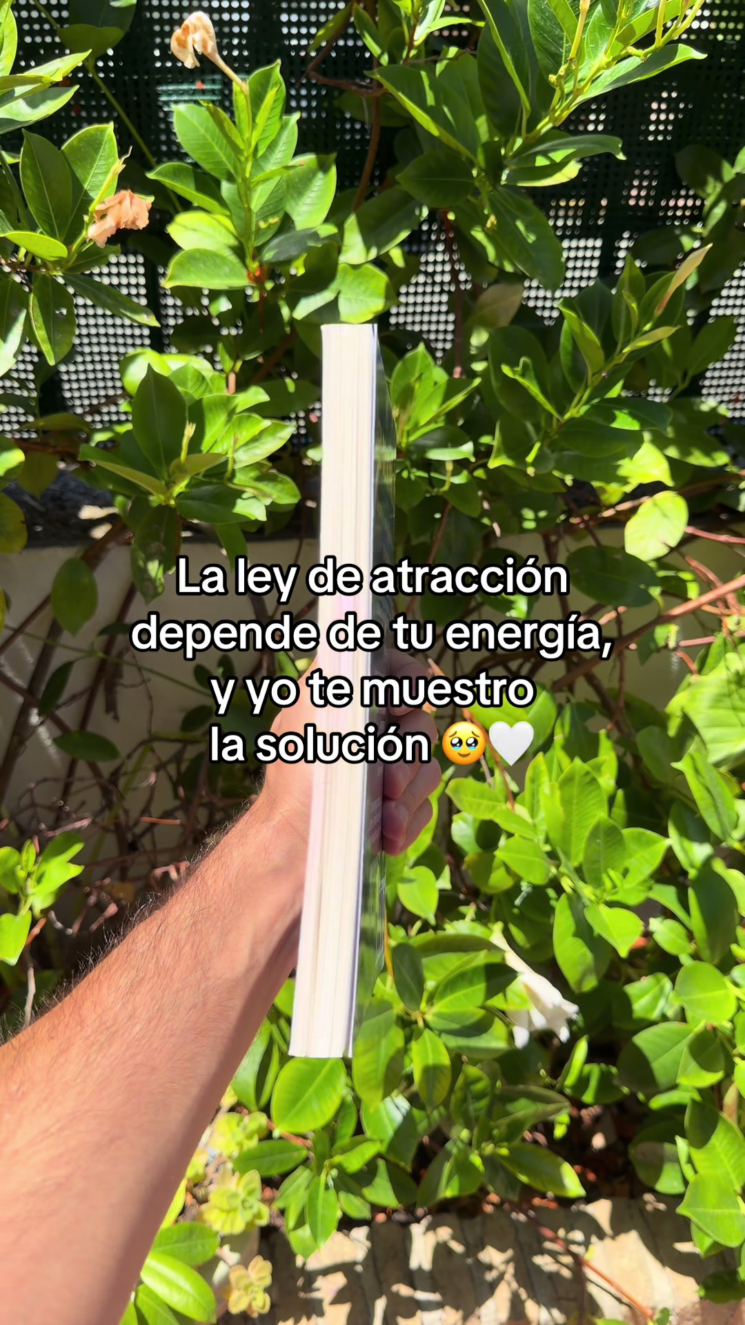 @Cómo Controlar la Energía