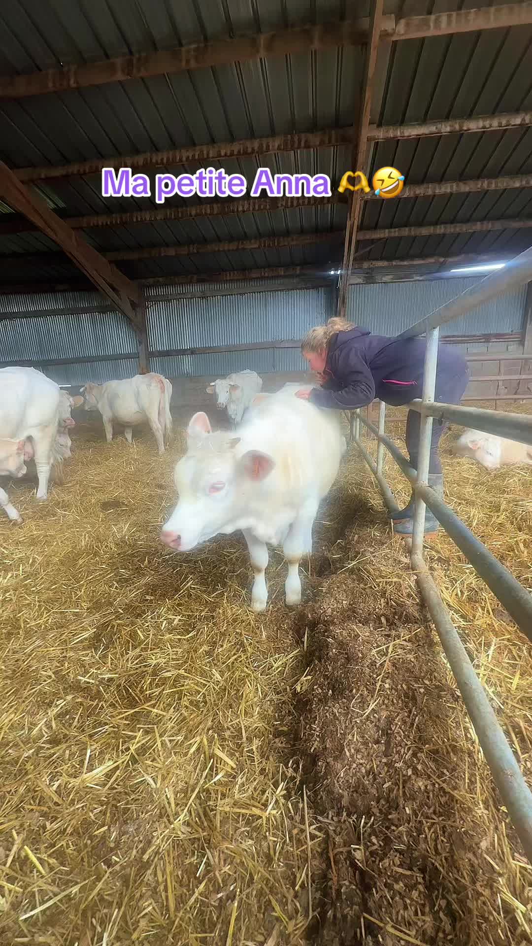 @ᏦᎥᎥᏦᏗᏗ 🌾🚜🐮