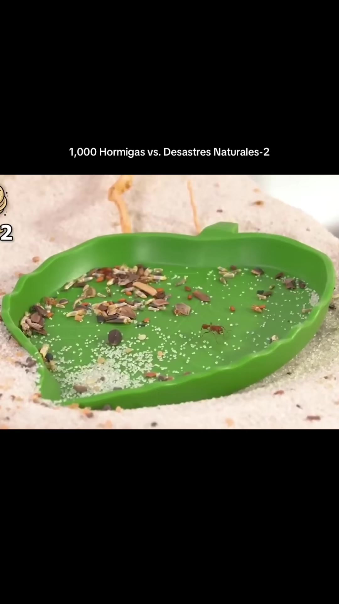 @rmReceta de Esbieta