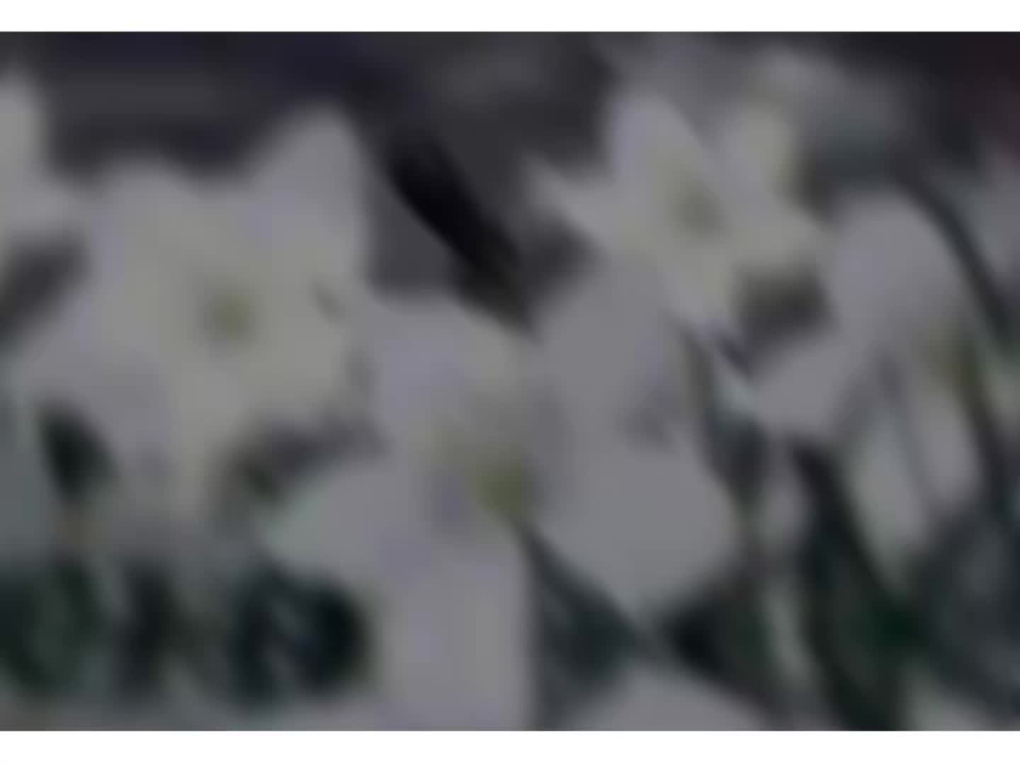 @๐
แ.๐๐๐๐๐