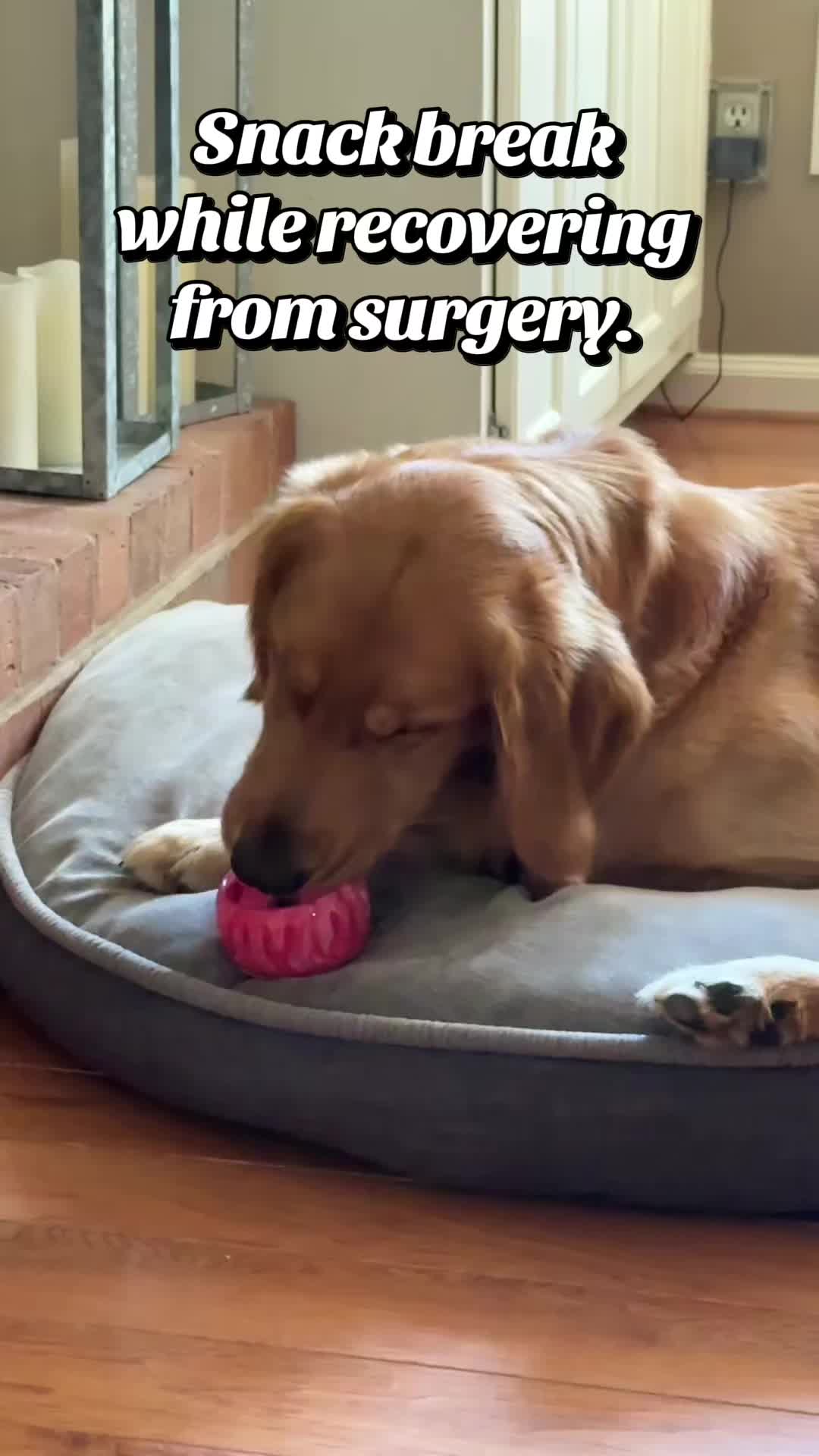 @Charlie the Golden