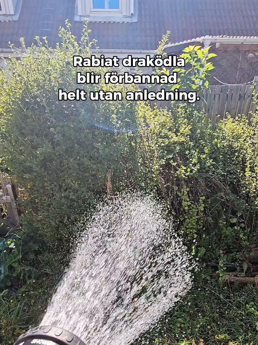 @Alex&Jakob
