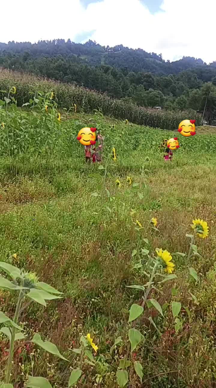 @martinmmm777