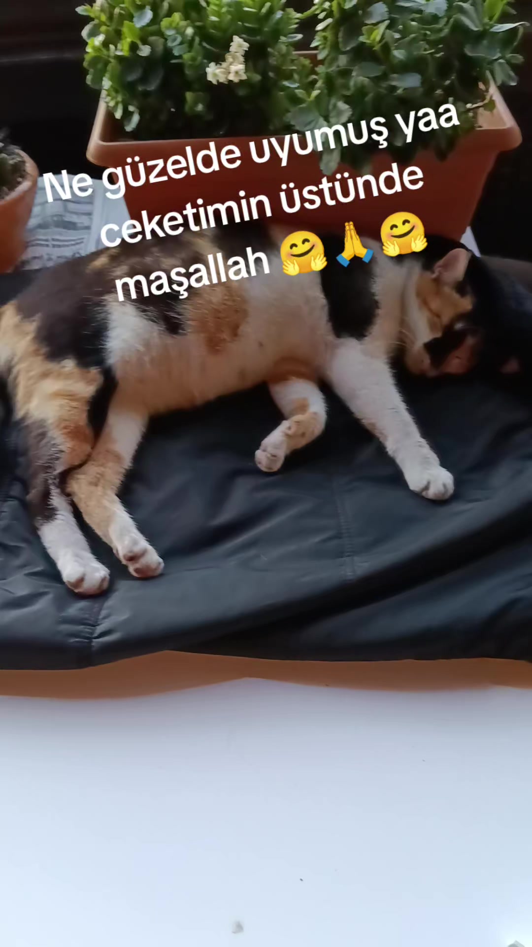 @Ertan Şahin