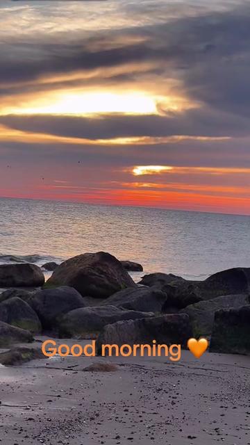 @lauri_cal_61_boston