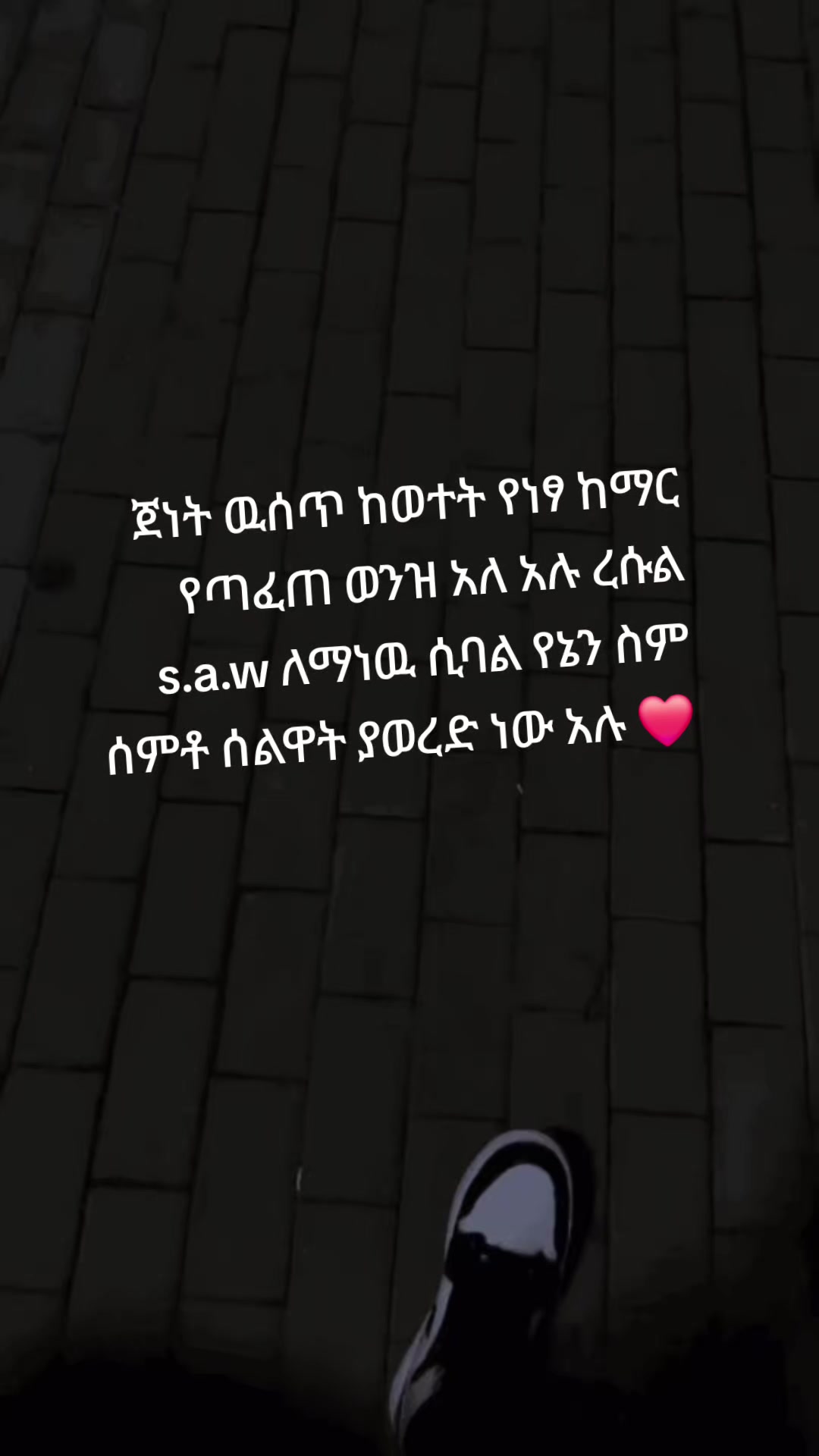 @zehara 🦋🦋🦋🦋