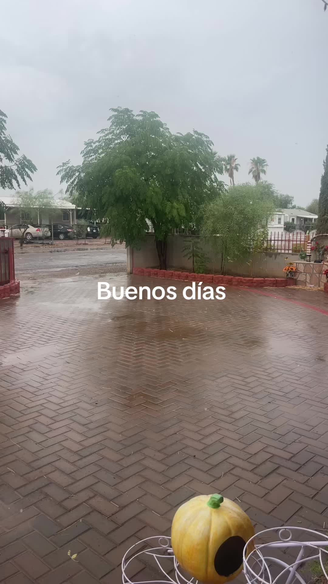 @alejandrinajimen17
