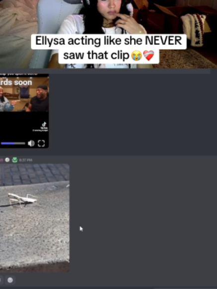 @rayclips