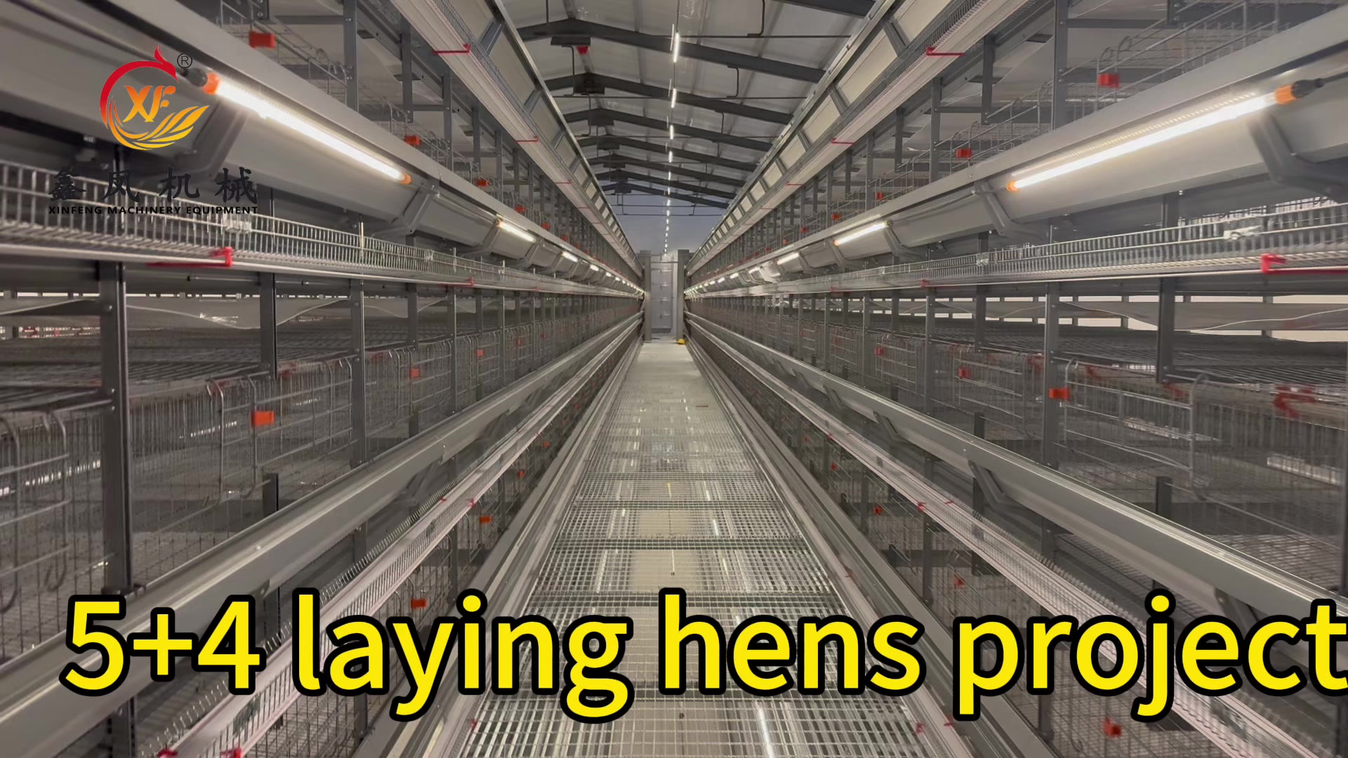 @Auto Poultry Cage Manufacturer