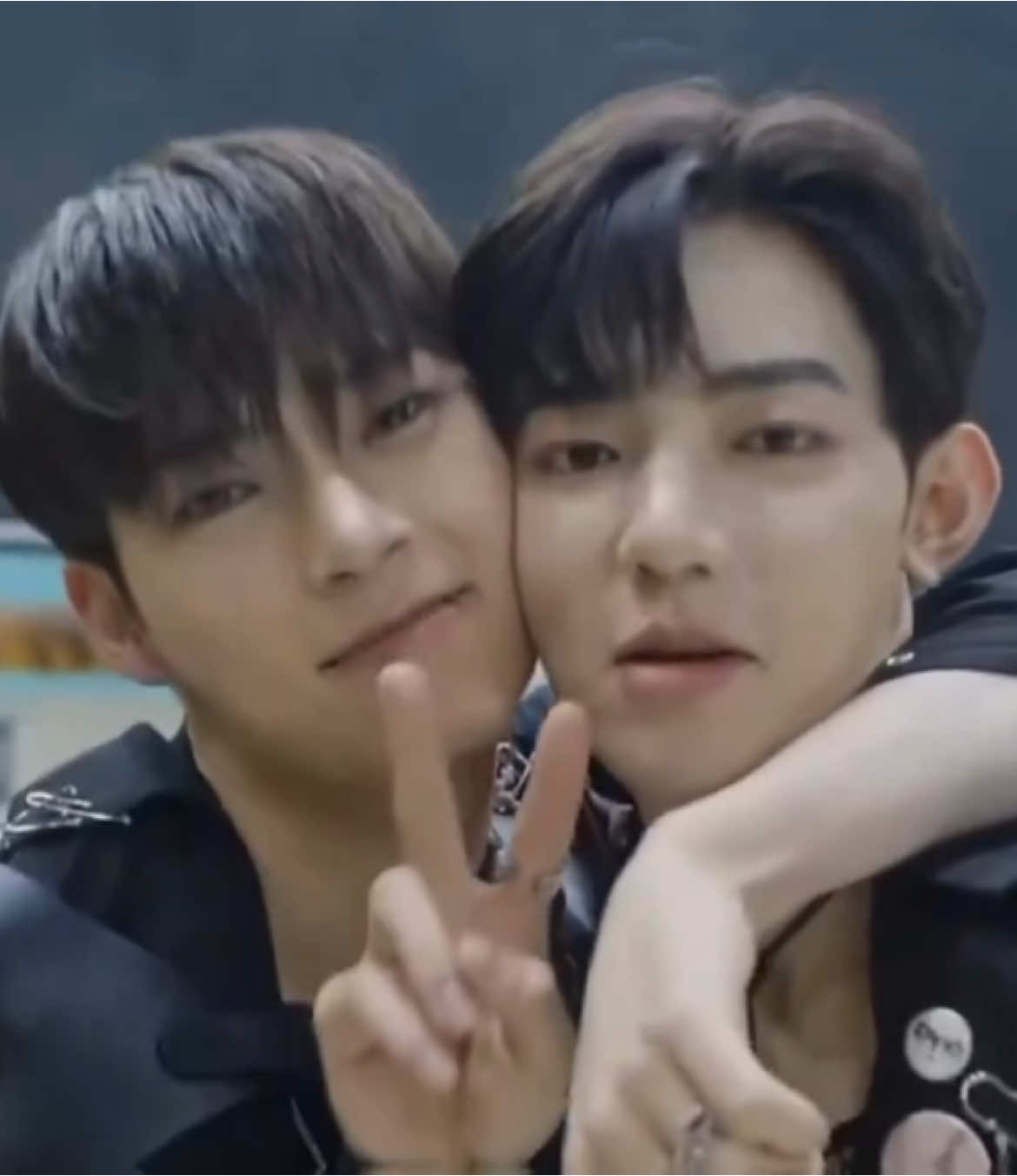 @mimi