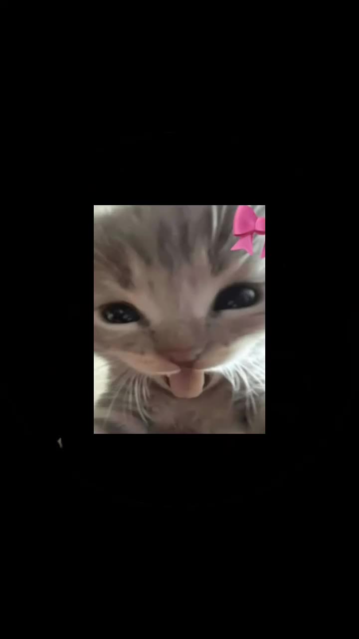 @๐งถ๐ง๐ท๐๐ท๐ธDora ๐๐ท๐ธ๐ง๐ท๐งถ