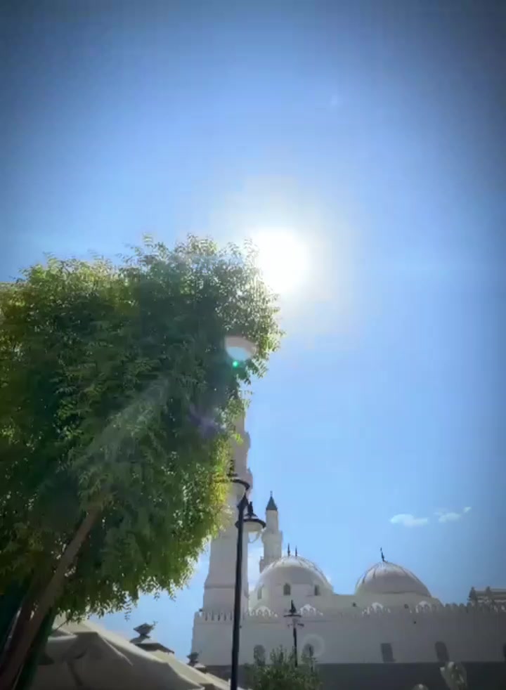 @🇧🇩 JISHAT 🇸🇦