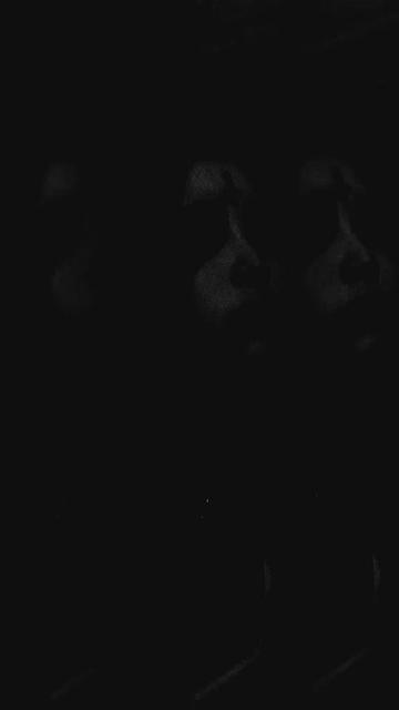 @†M̷i̷g̷r̷e̷n̷ь̷ †