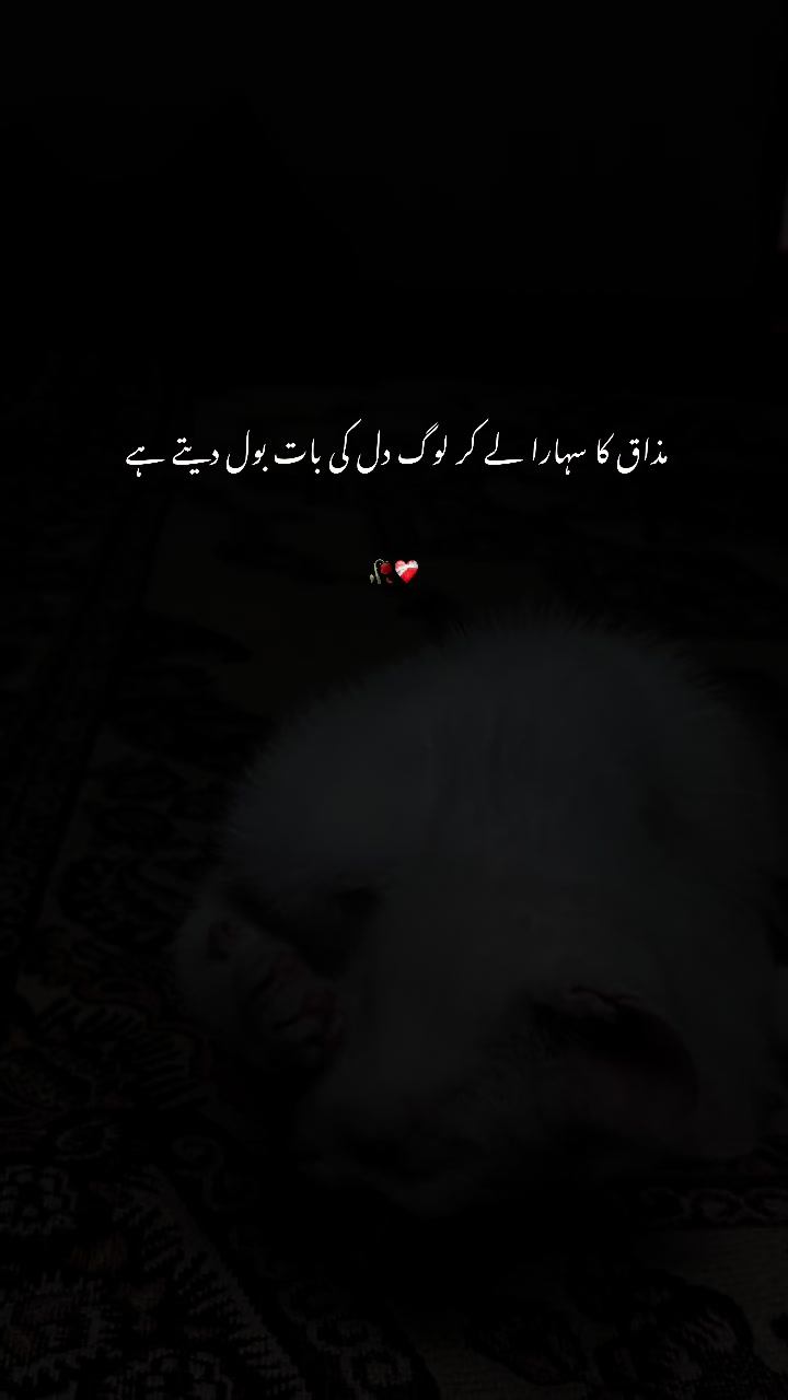 @عباسی🥀
