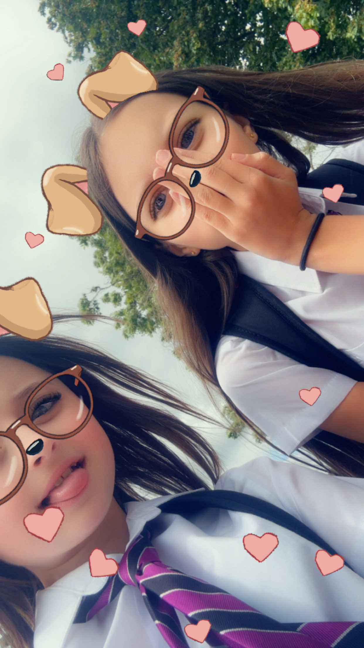 @lilyspam🩶