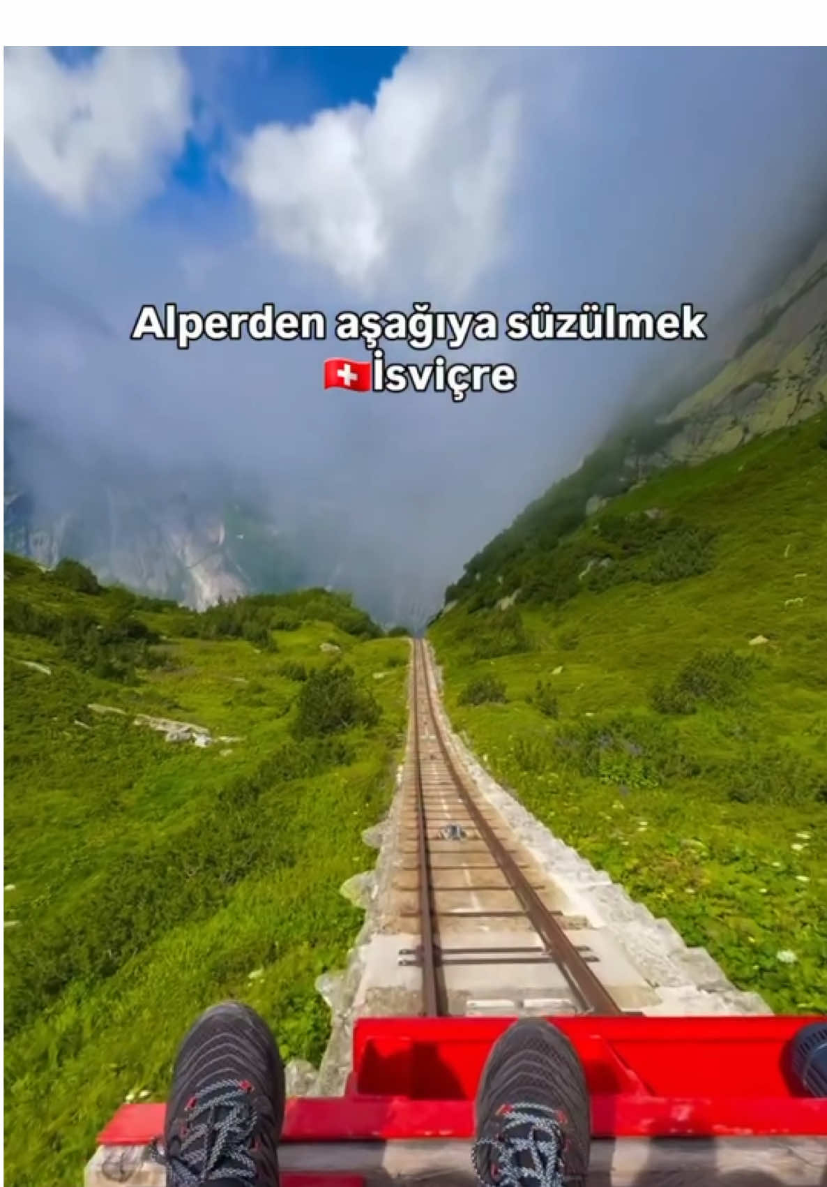 @avrupadayasamm