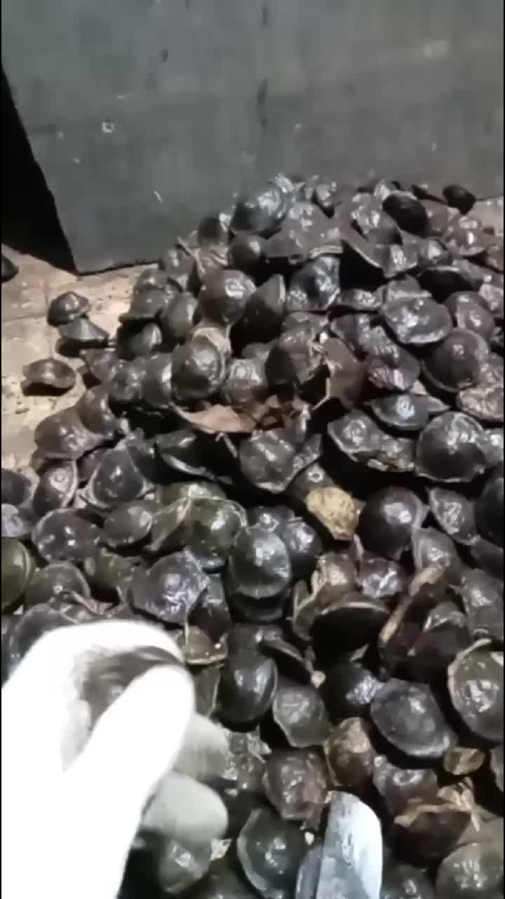 @simidun