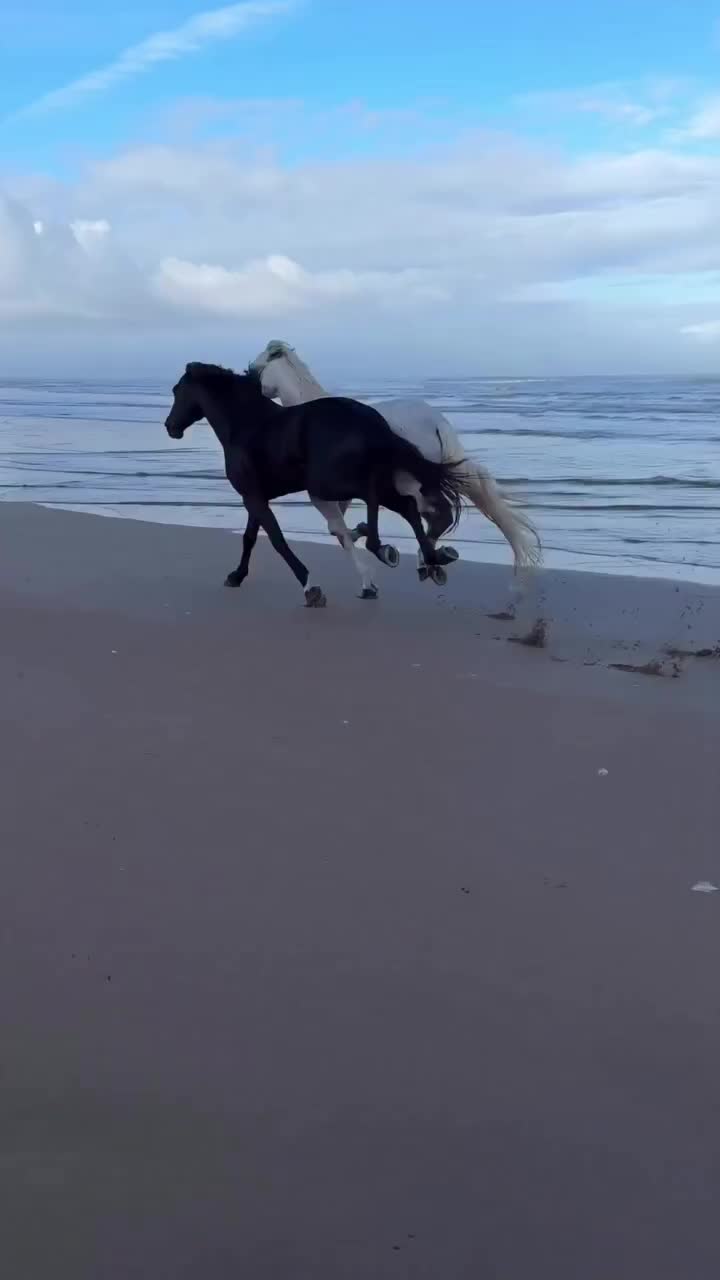 @ThunderGallops