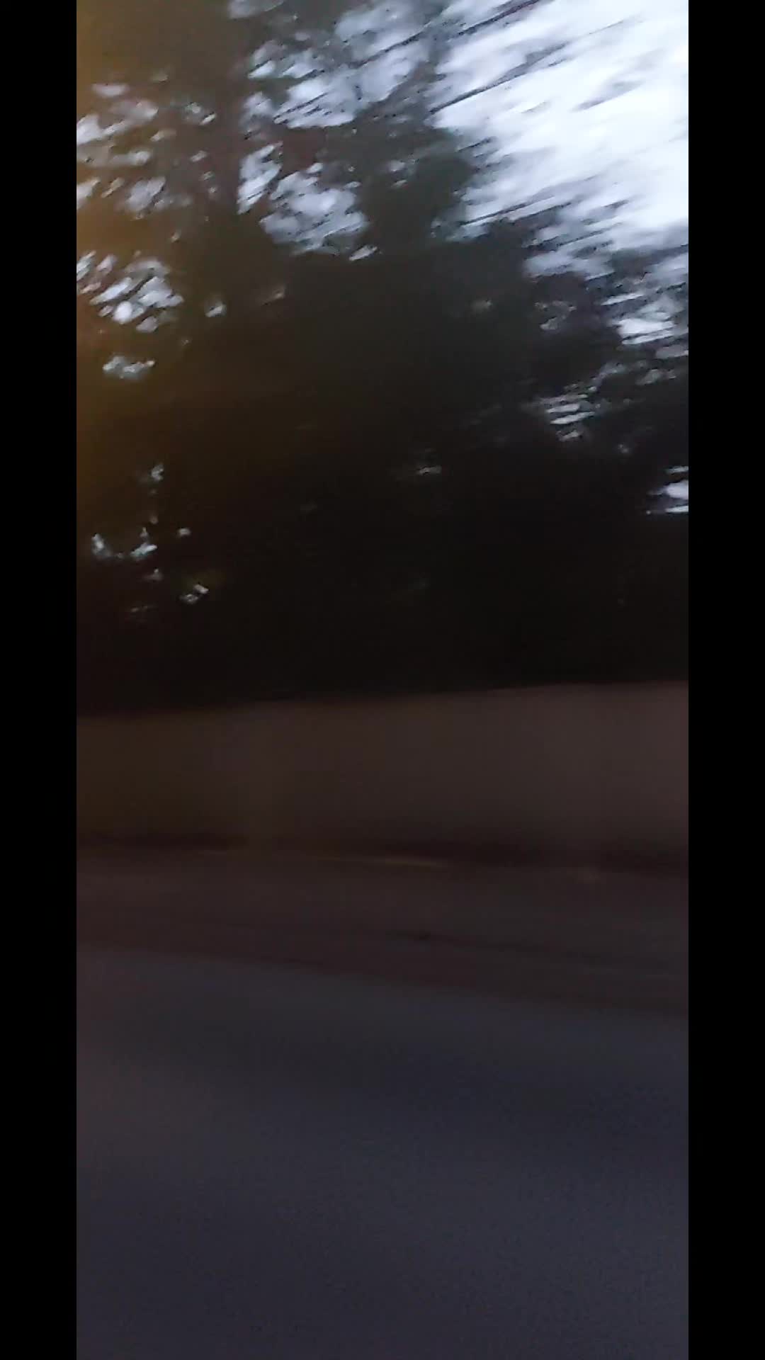 @amaan1949