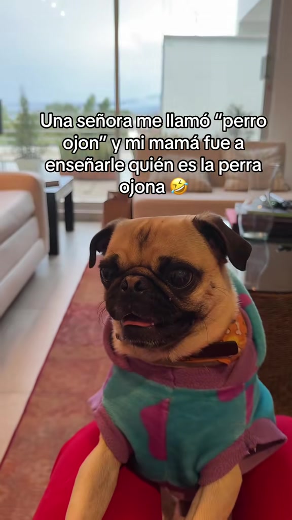 @Alexa&elcarnalchiss