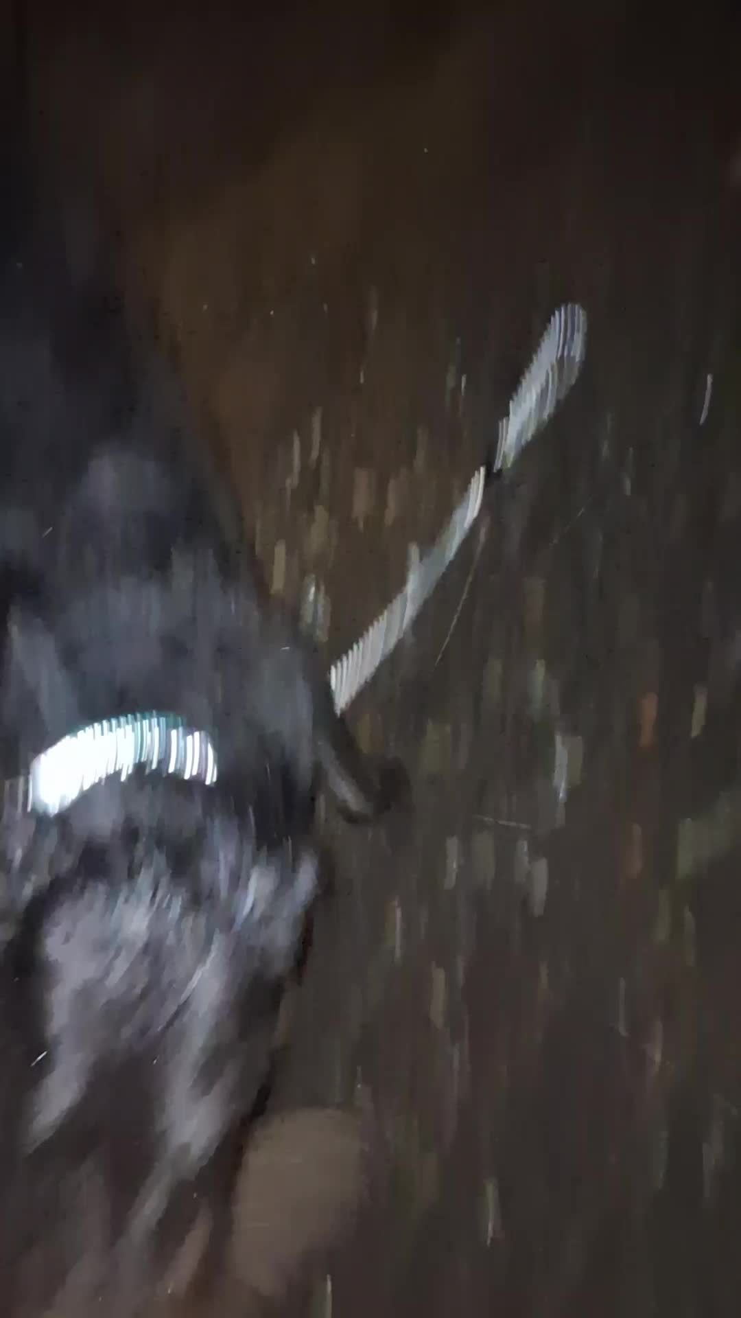 @Natalie Thatmalinoislady