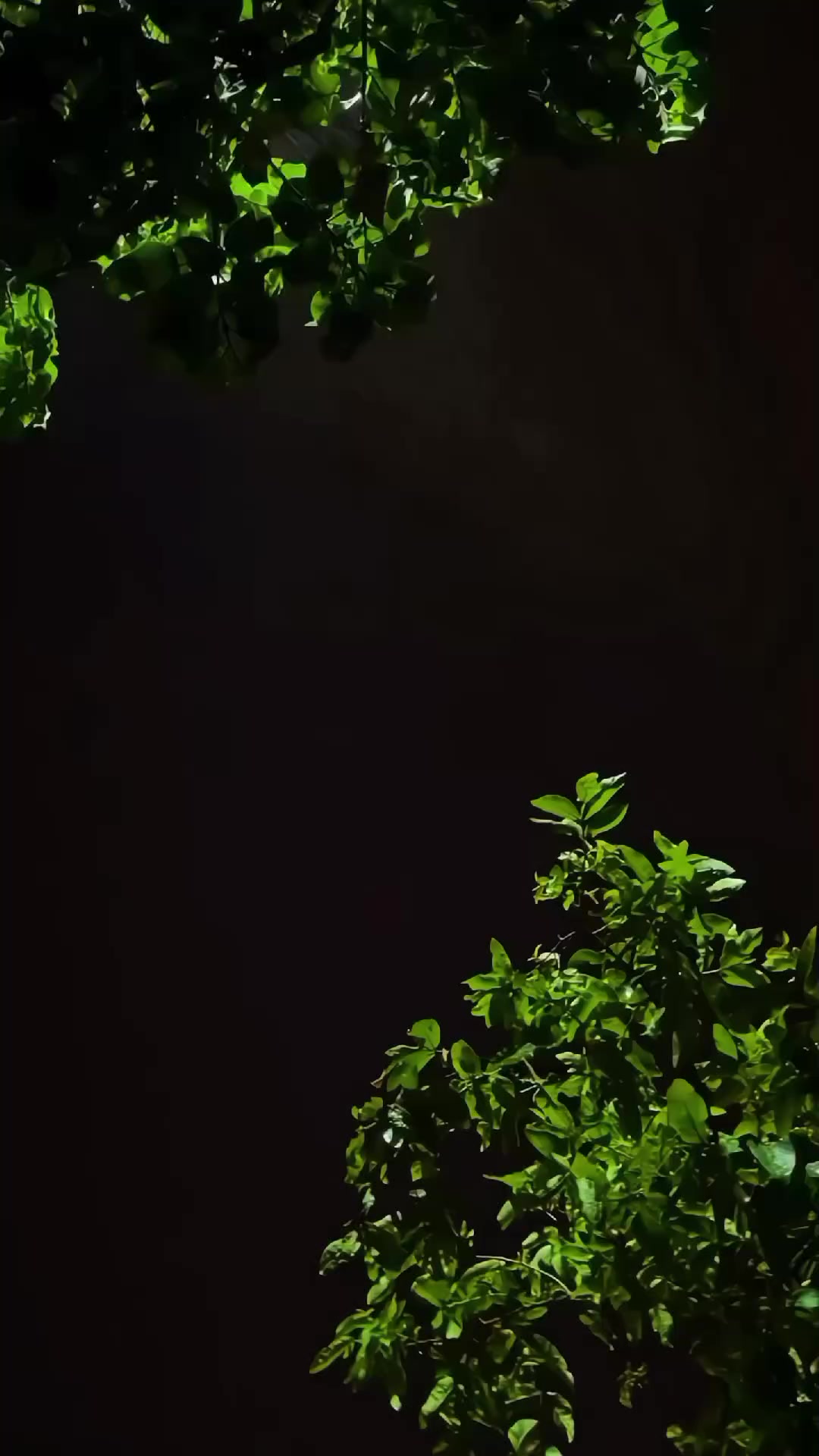 @ℕ𝔸𝕁𝔸𝔽_𝕁𝕌𝕋𝕥 😎