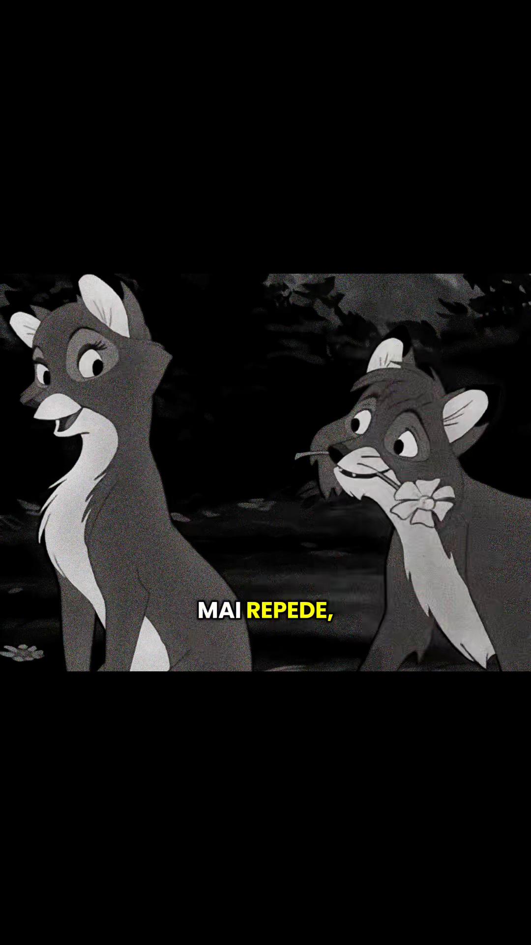@sergiu_valentin6