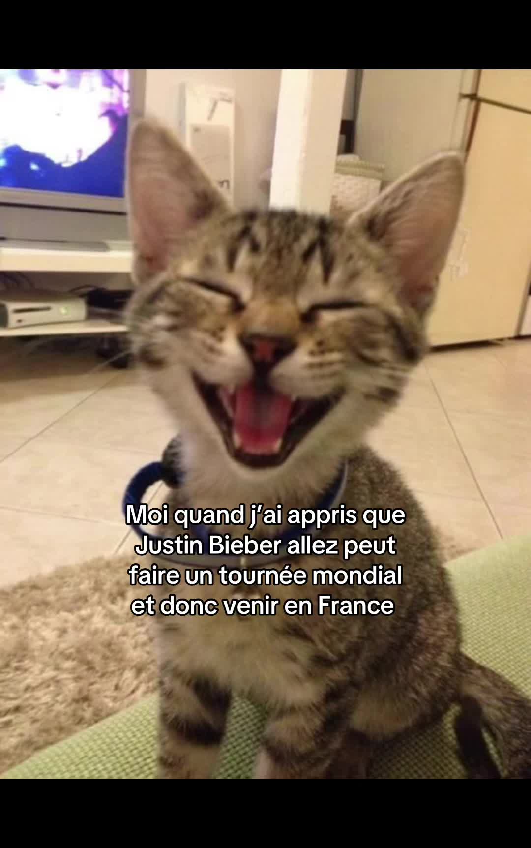 @🌷🌷