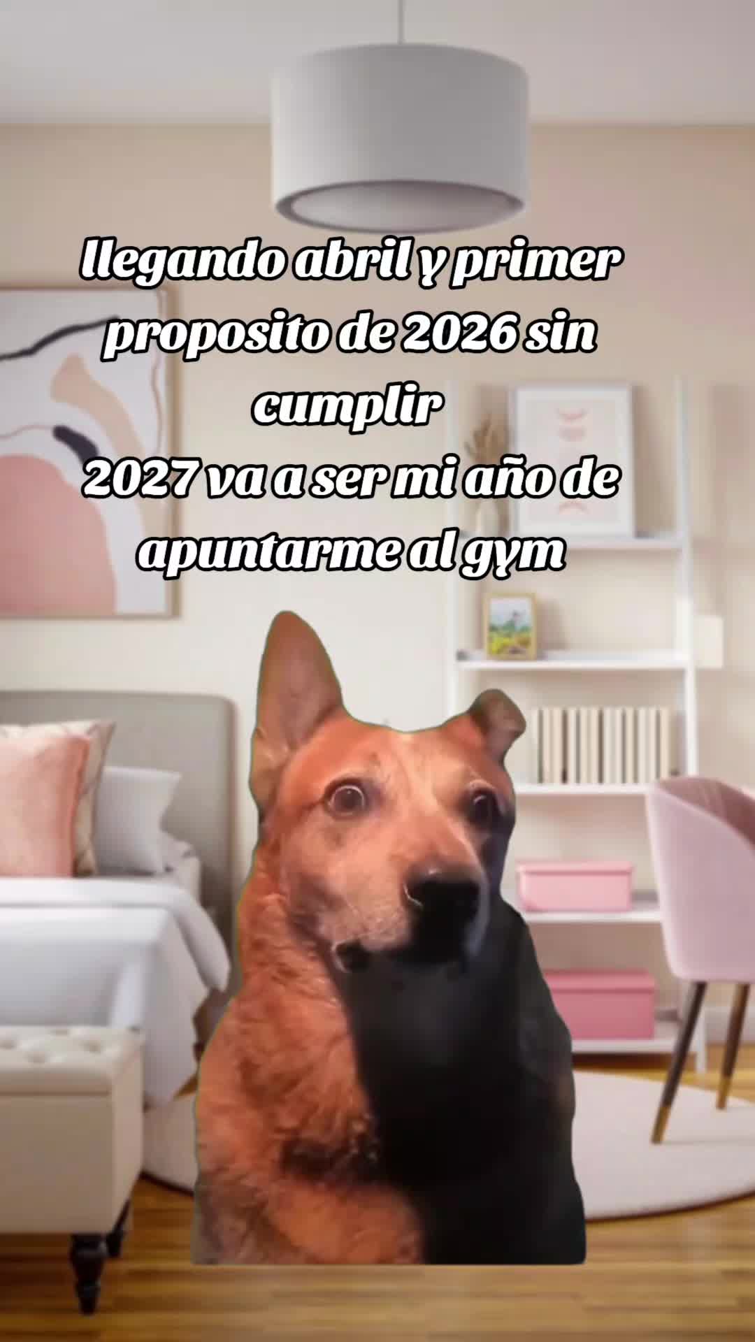 @🏹🐬🥴🚽toxico_de_Nesquik