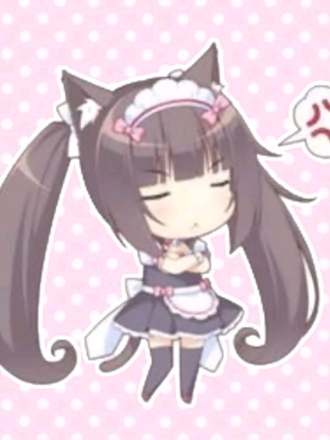 @Saira