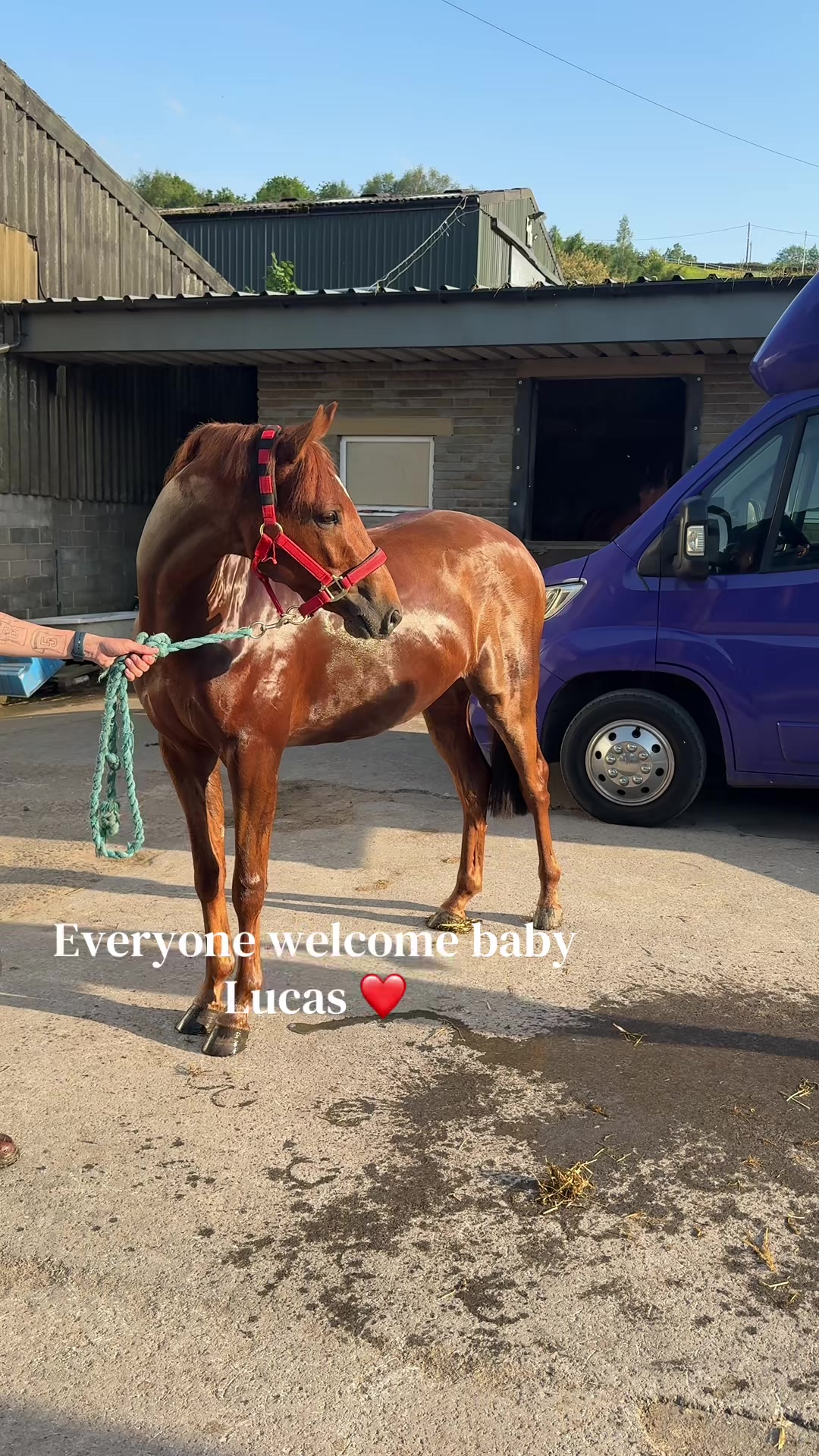 @𝐉𝐞𝐦𝐢𝐦𝐚𝐞𝐯𝐞𝐞𝐪 🐴